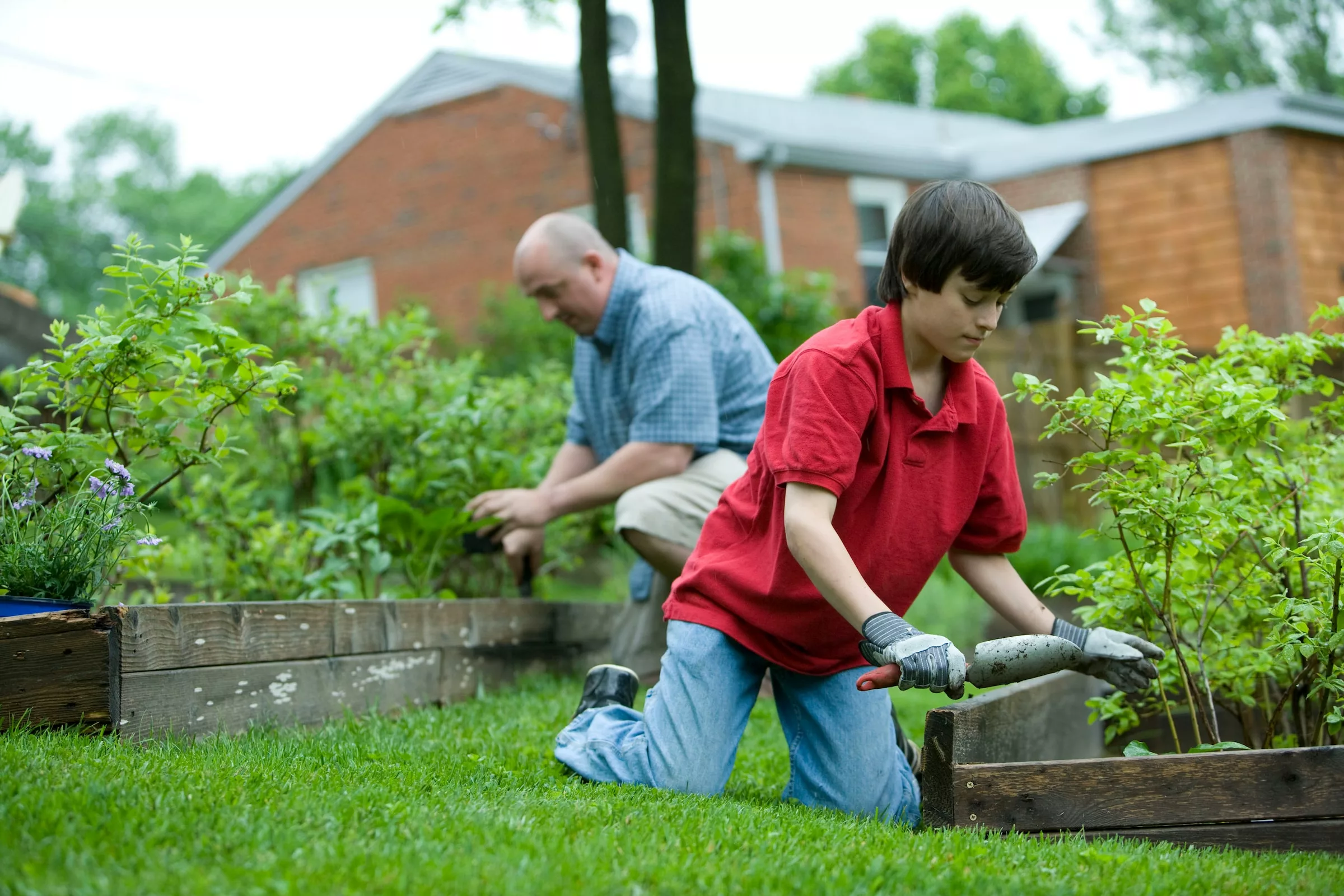 Embrace Simplicity: A Guide to Relaxed and Enjoyable Gardening