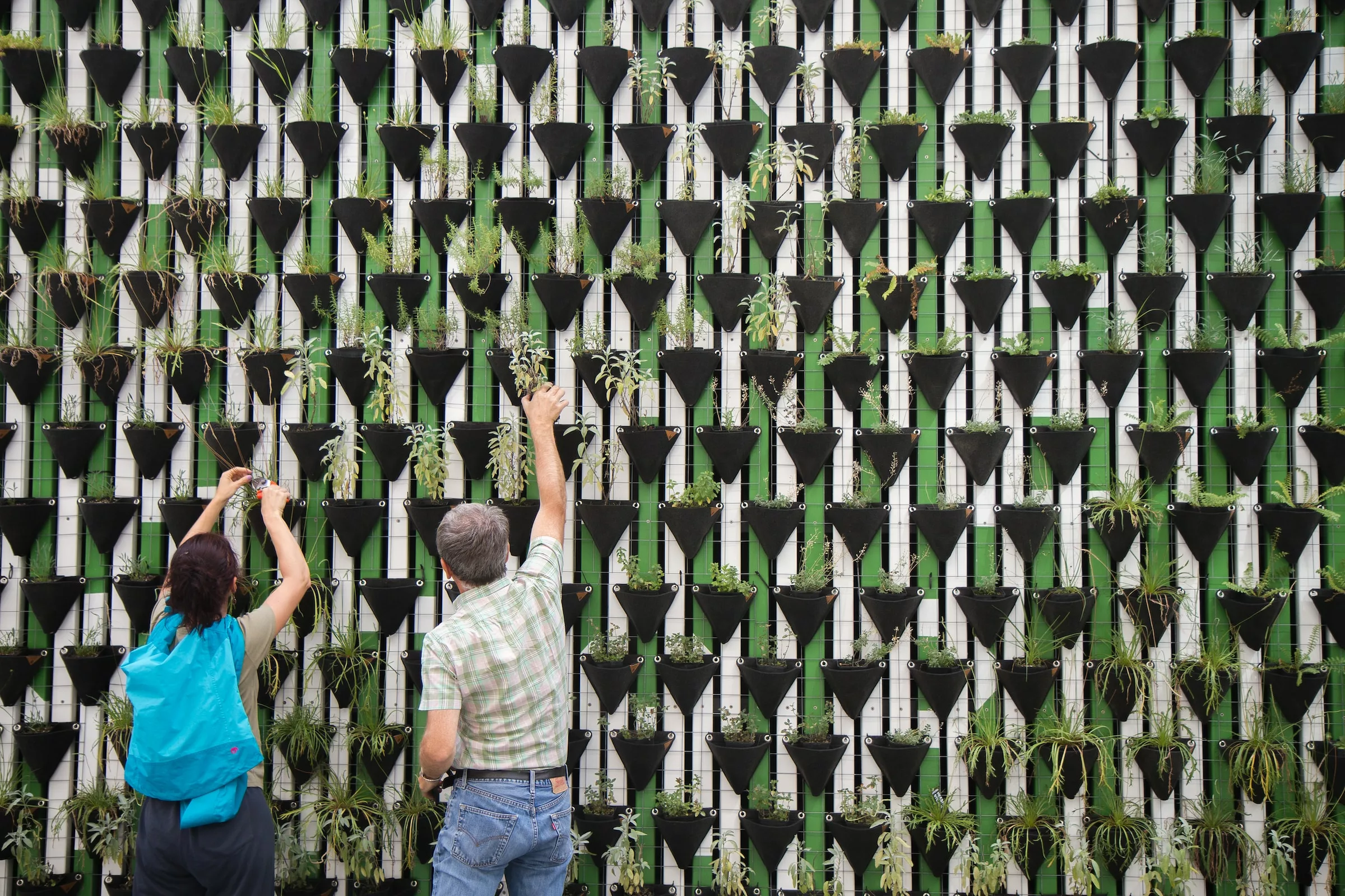 Maximize Your Space: Vertical Gardening Solutions for Small Spaces and Apartments