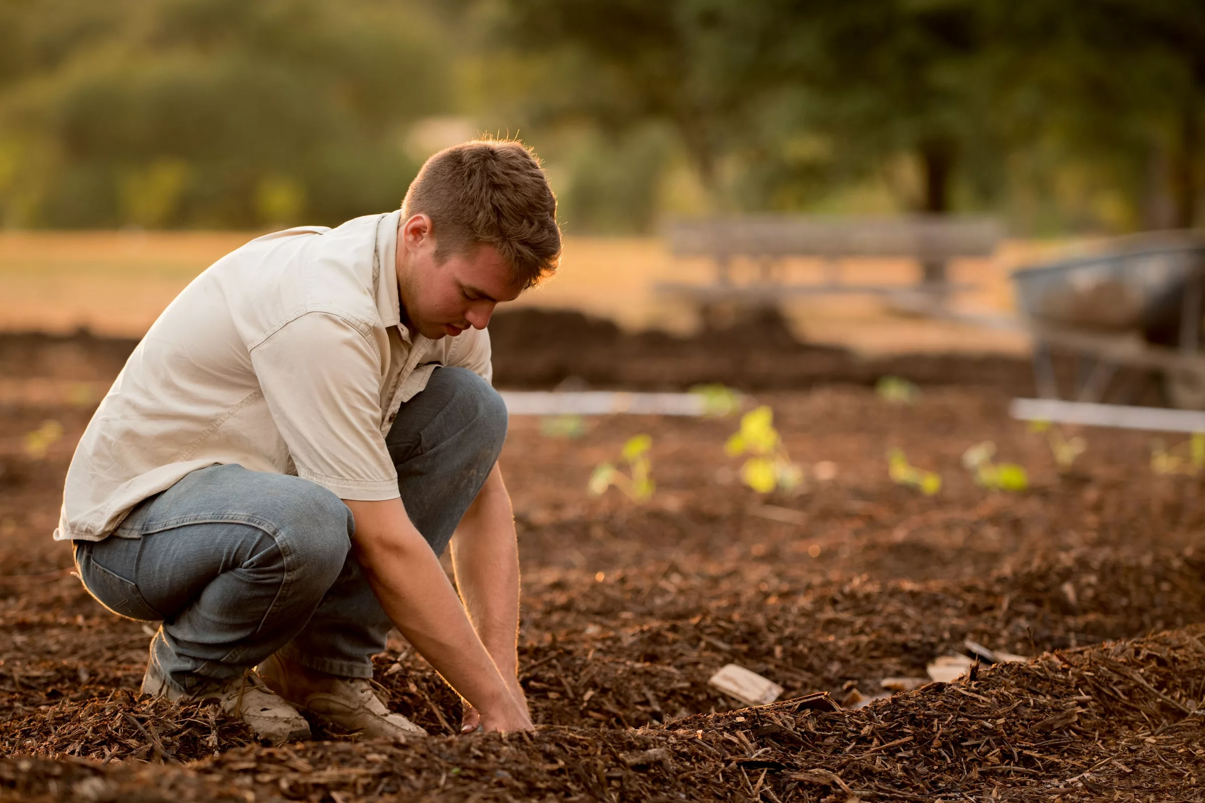 The Healing Power of Gardening: How Tending to Plants Can Improve Your Mental Health