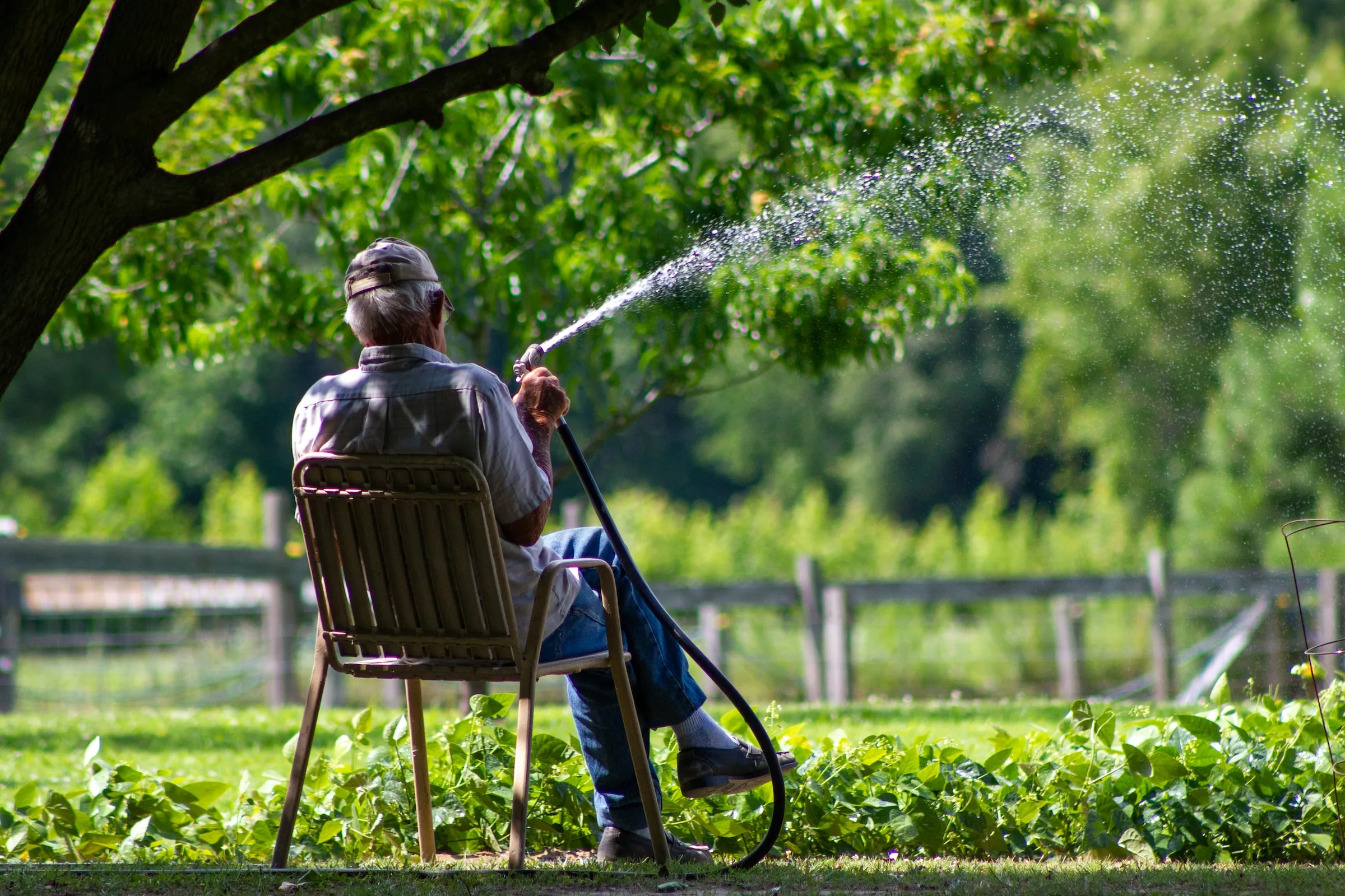 Embrace Permaculture with Ease: Crafting a Low-Maintenance Garden for Every Hobbyist