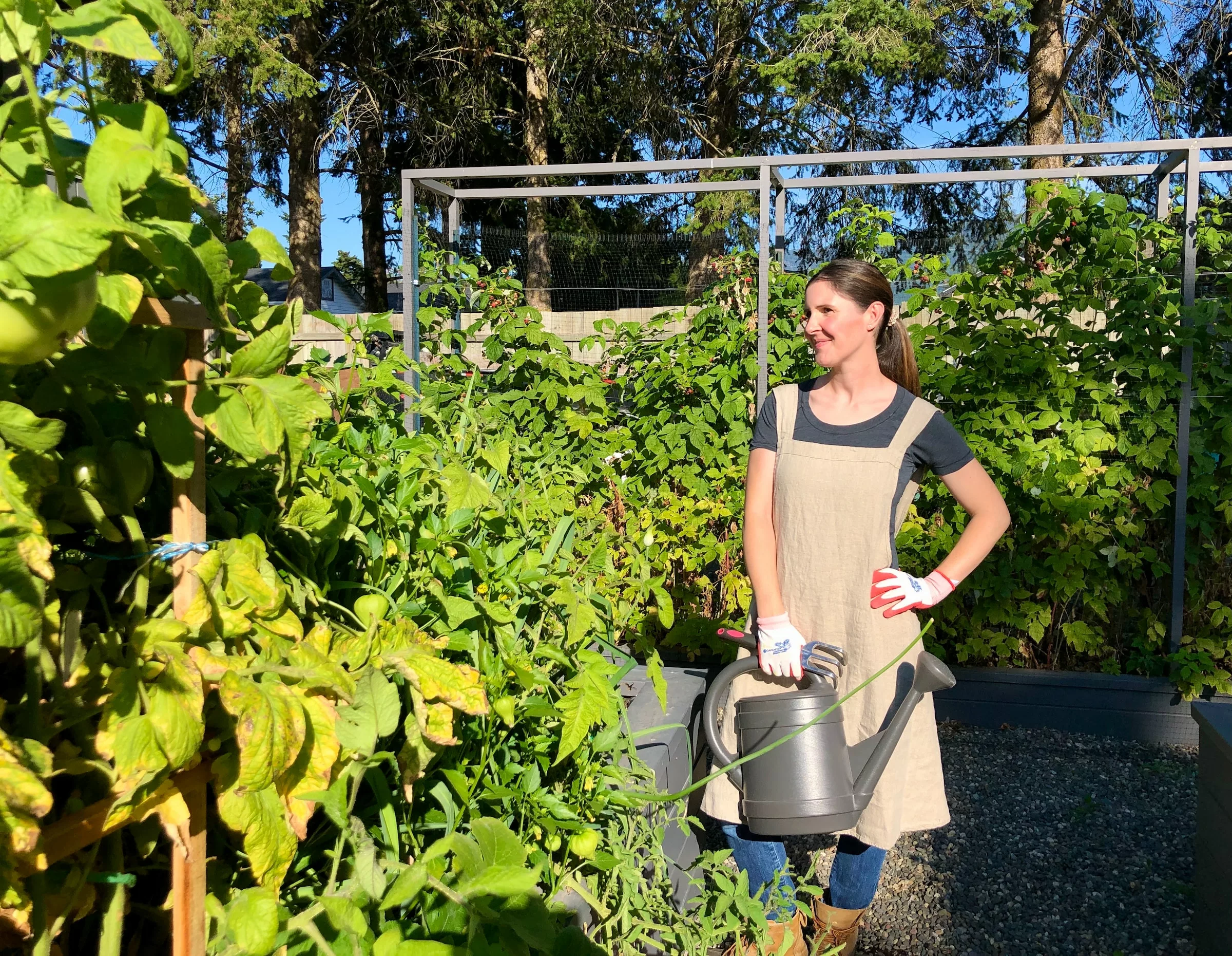 Small-Scale Permaculture: How to Apply Sustainable Practices in Your Backyard Vegetable Garden