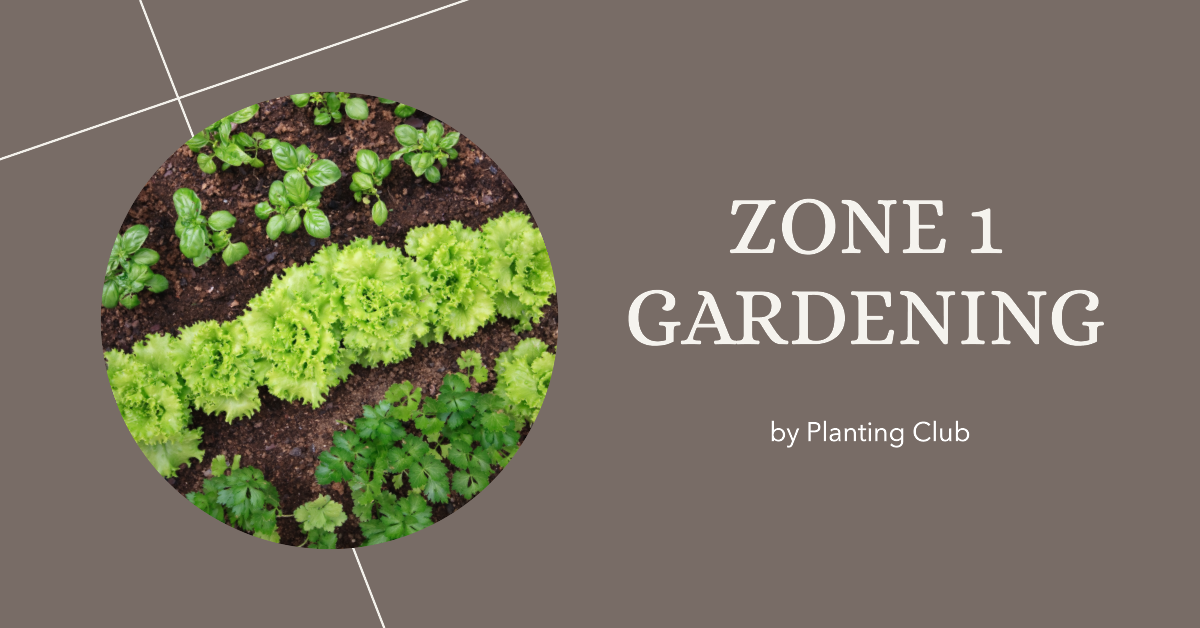 Zone 1: Your Essential Guide to Seasonal Gardening Tasks: