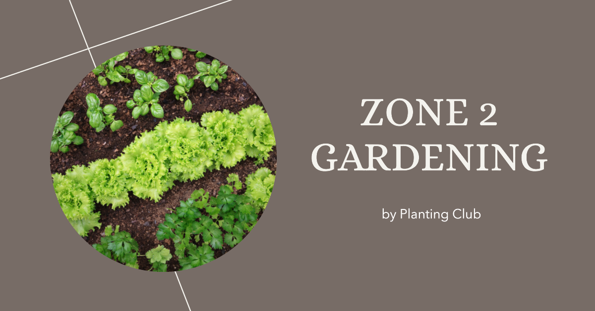 Sustainable Gardening in Zone 2: Tips for a Thriving Garden