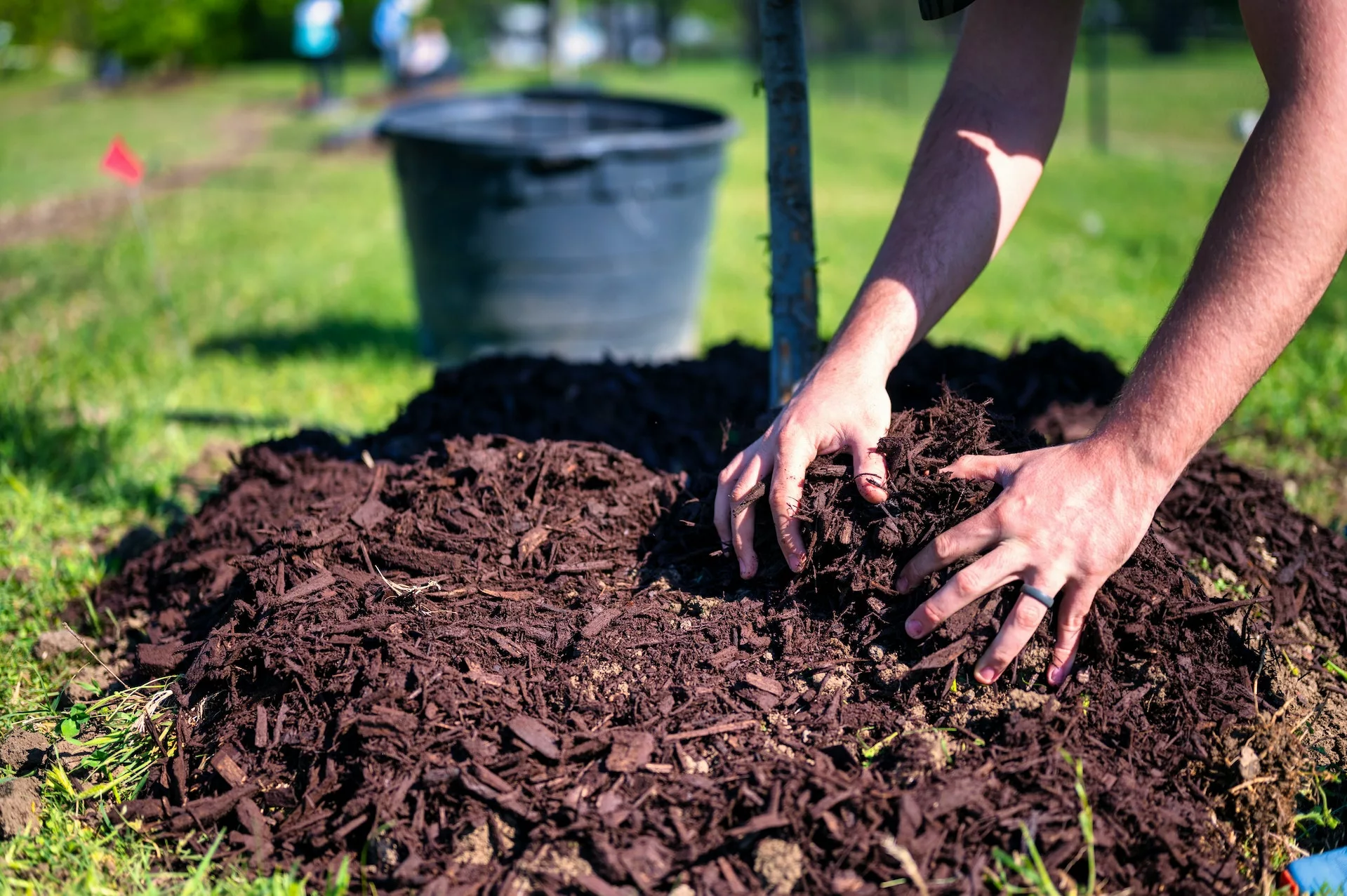 Mulch Your Way to a Lush Garden: The Importance of Mulching for Healthy Plants