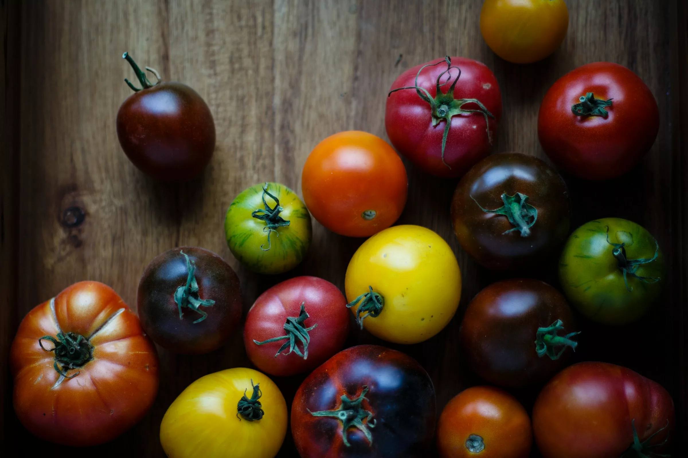 Preserving Garden Heritage: Exploring the Beauty and Importance of Heirloom Plants