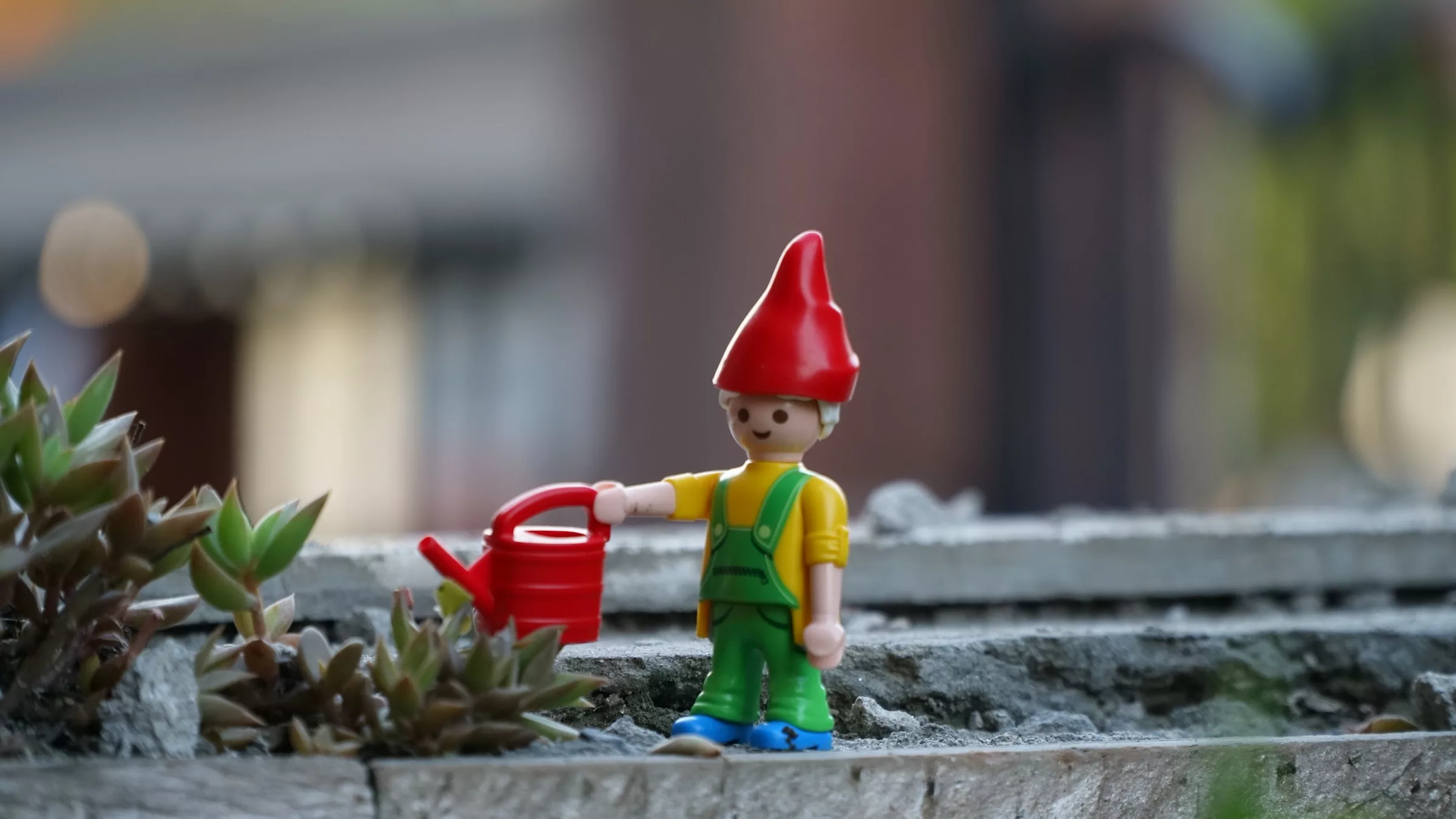 Making a Self-Watering Container