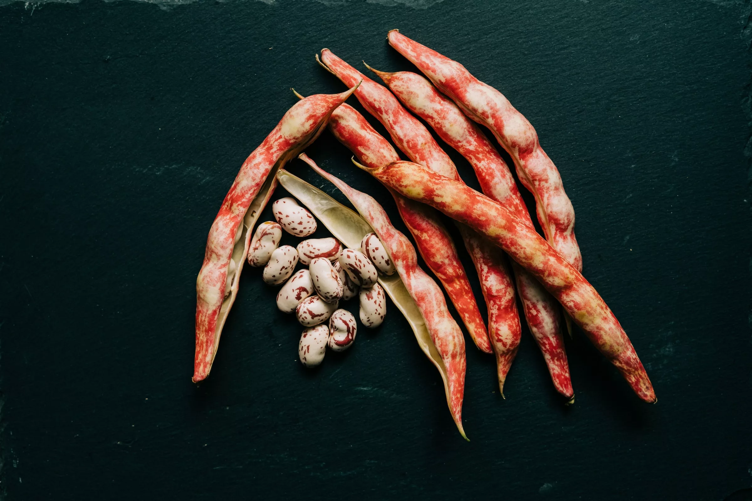 Beans – Pole Beans